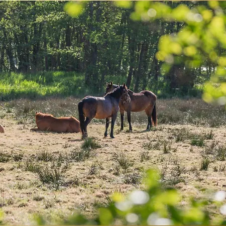 Village Kleine Koje Apartmán Benz (Usedom)