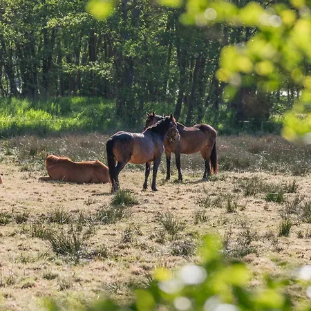 Village Kleine Koje *